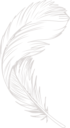comment bg feather