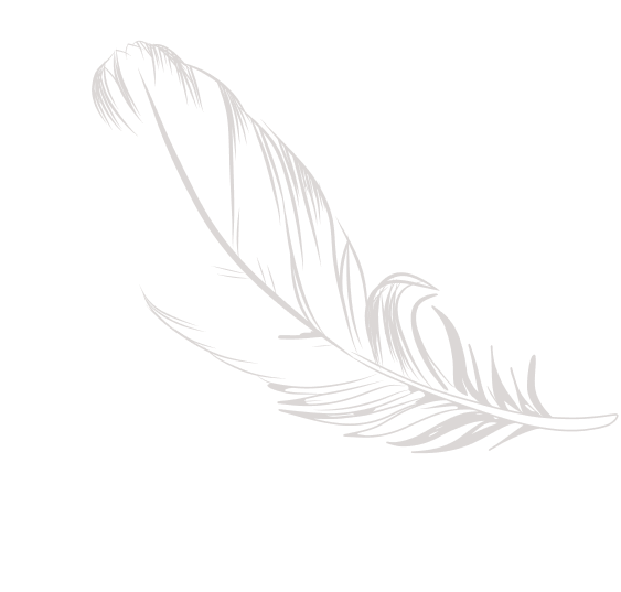 comment bg feather