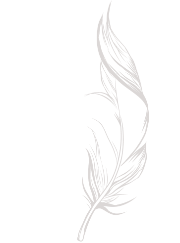 comment bg feather