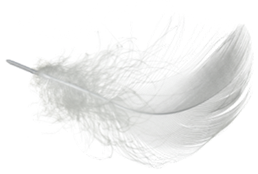 Feather